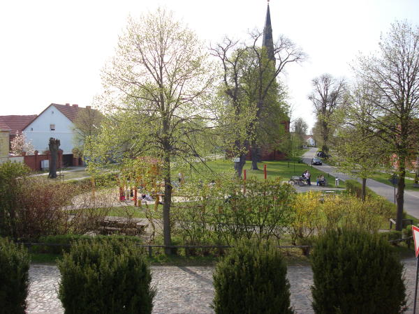 DSC03216b