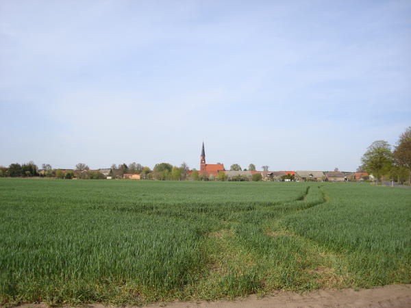 DSC03234b