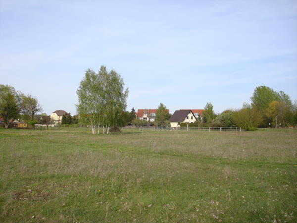 DSC03239b